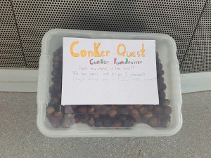 conkers